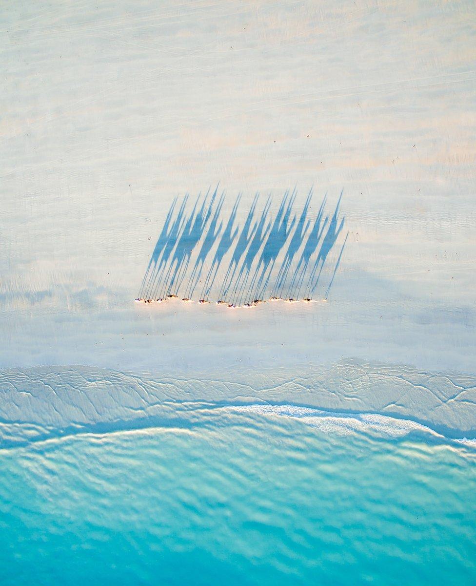 Cable Beach by Todd Kennedy