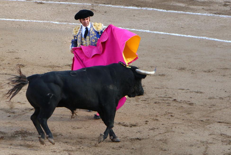 A bullfight in Spain