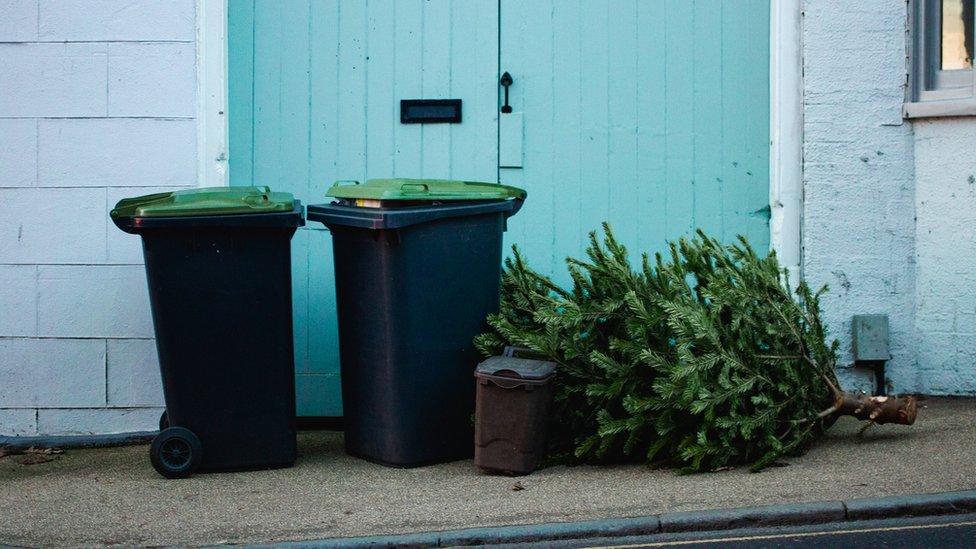 A Christmas tree by some bins