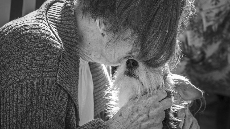 dog with elderly woman