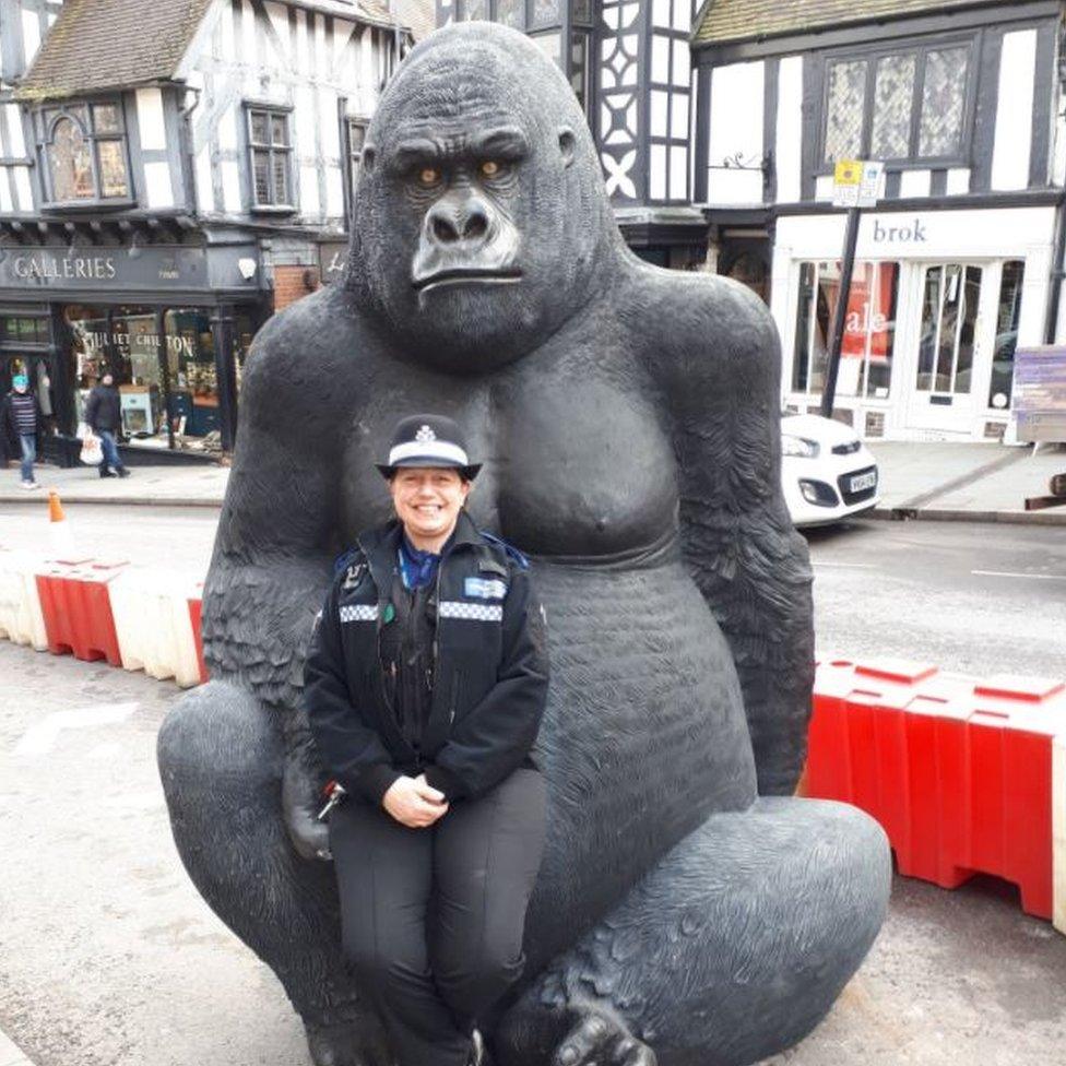 A gorilla and a police officer