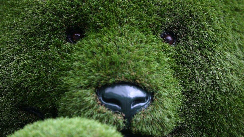 An artificial grass teddy bear is displayed at the RHS Chelsea Flower Show in London, Britain May 21, 2017