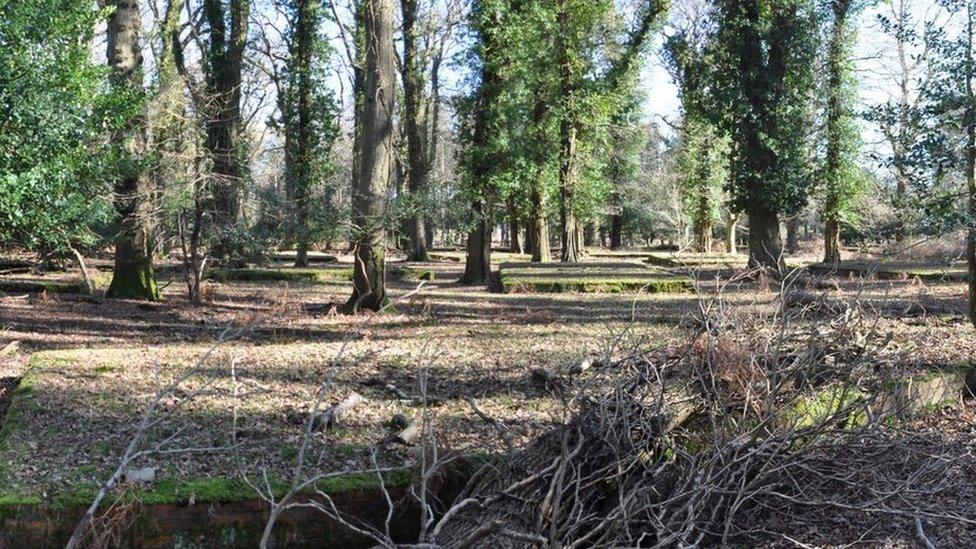 World War Two accommodation huts, hidden in woodland at Beaulieu Airfield