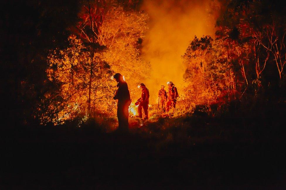 Volunteer firefighters start a controlled burn in Australian bushland