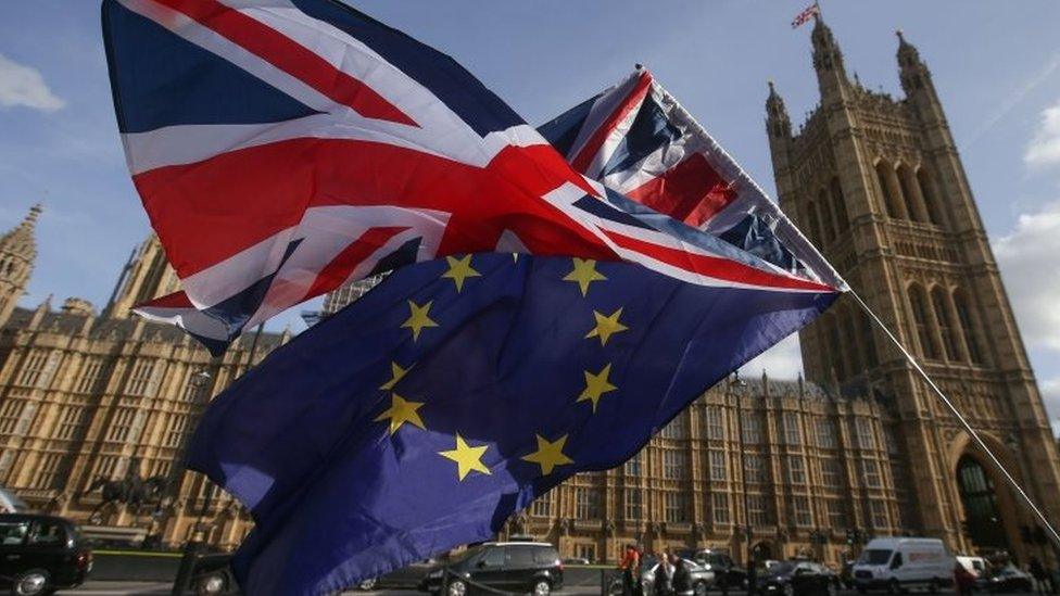 Flags outside Parliament in Westminster