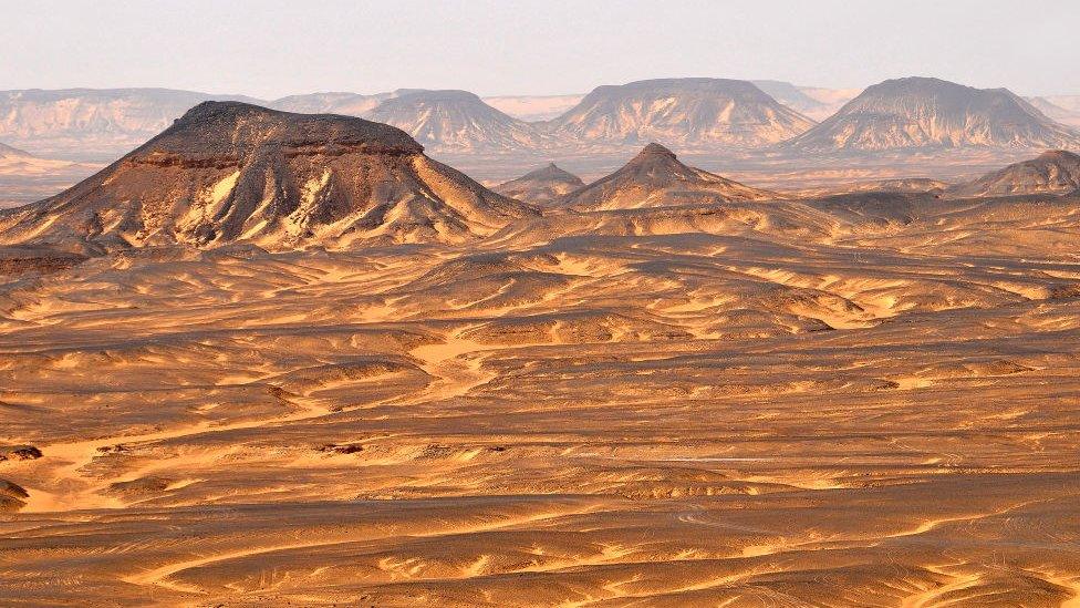 Bahariya Oasis region in the Sahara Desert