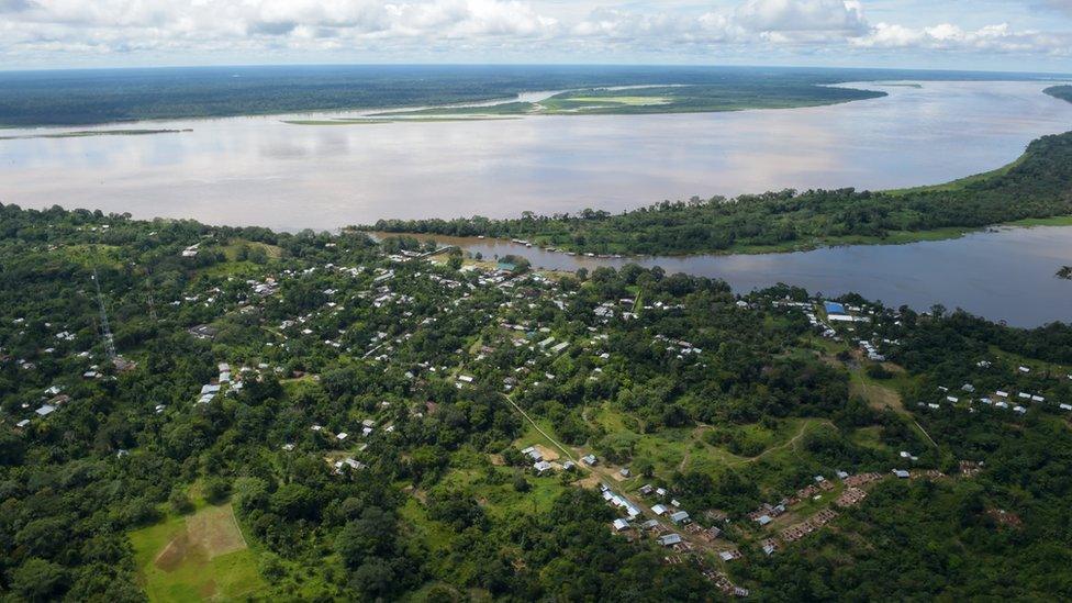 Wetland in the Amazon