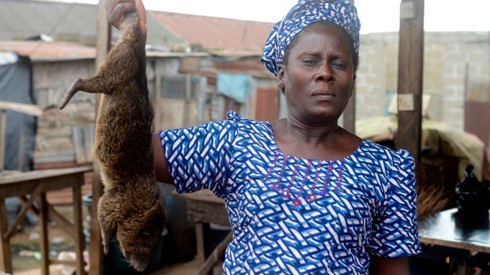 A bushmeat trader in Nigeria