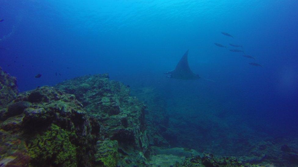 Koh Tachai