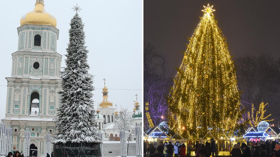 The tree in Kiev compared to the tree in Lviv. Kiev's tree is very thin, whereas Lviv's tree is big and bushy.