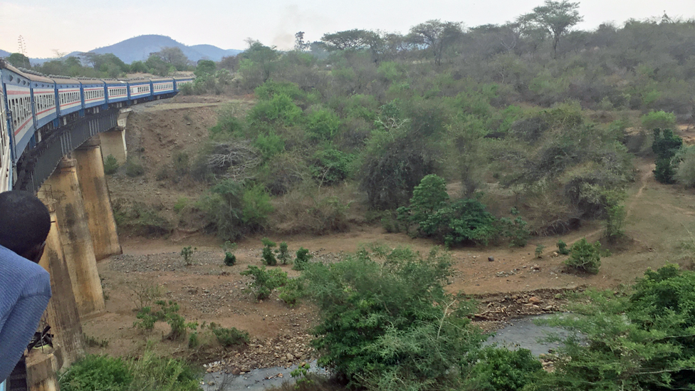 A man looking out of a Tazara train travelling from Tanzania to Zambia