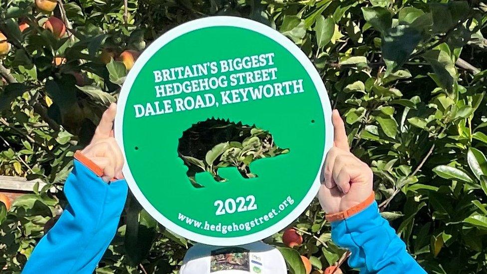 The plaque awarded to Dale Road