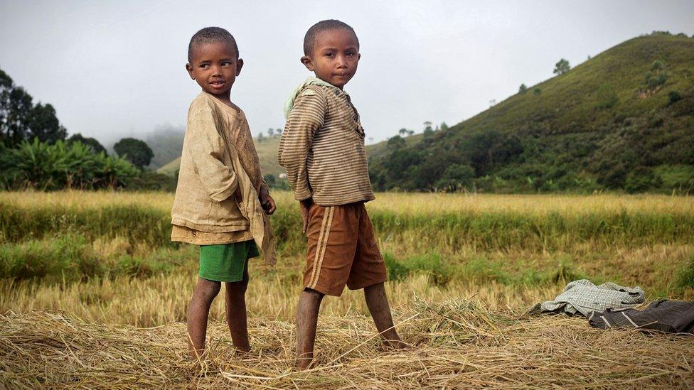 Boys in Madagascar rice field