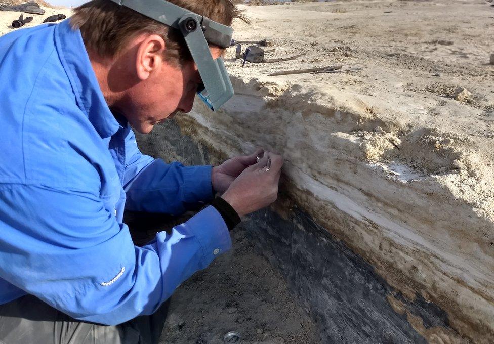 Team member examining the seed layers