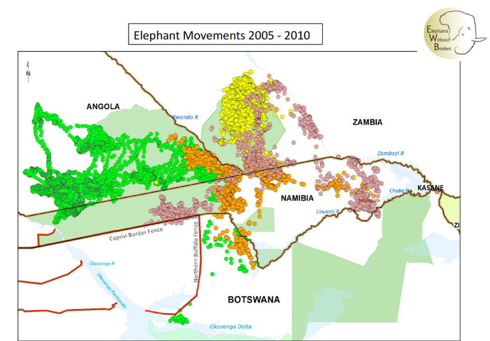 Elephants movements 2005 -2010