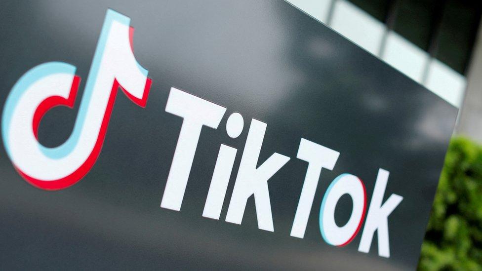 The TikTok logo