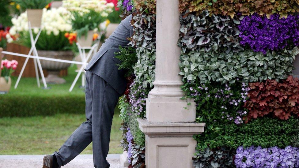 Man looking through flower display