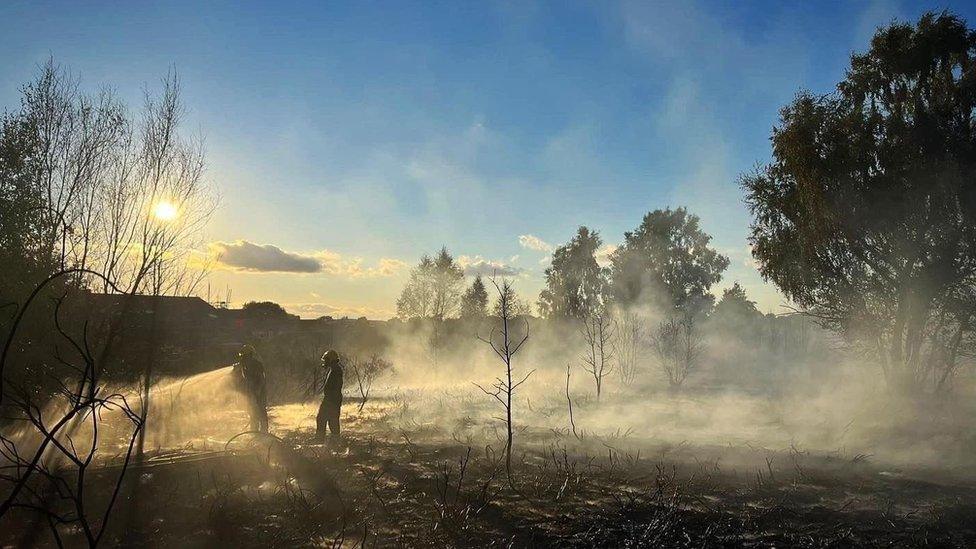 Firefighters putting water on burnt ground