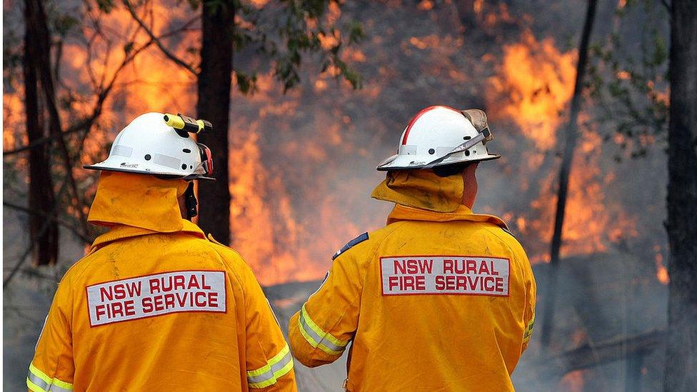 New South Wales firefighters monitoring a bushfire