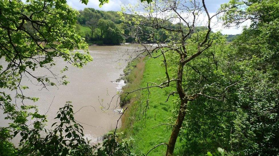 Field at Cotehele to become wetland