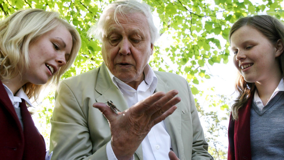 David Attenborough