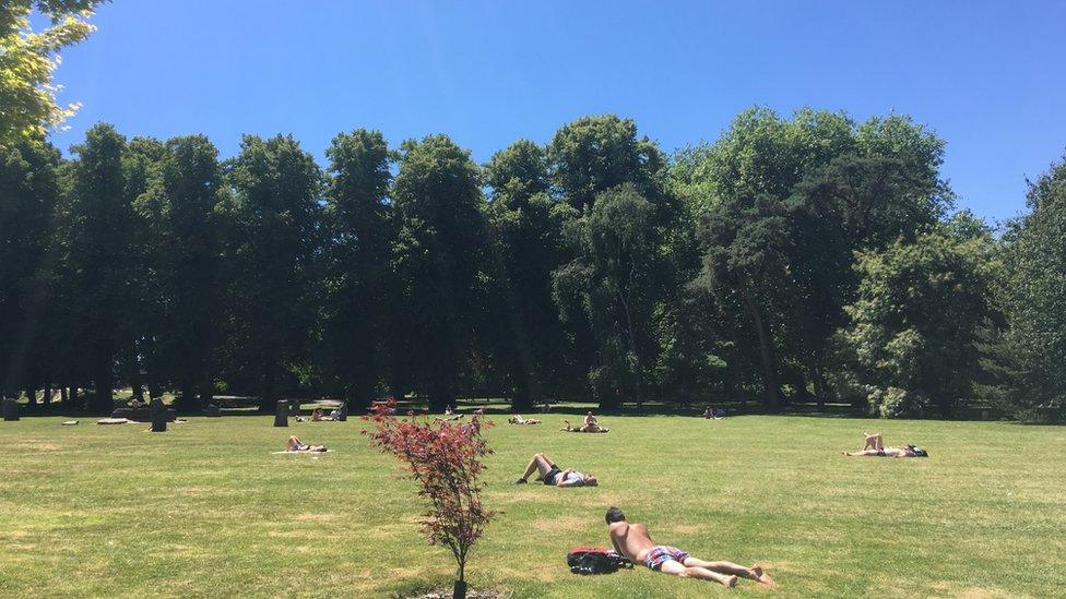 sunbathers in park