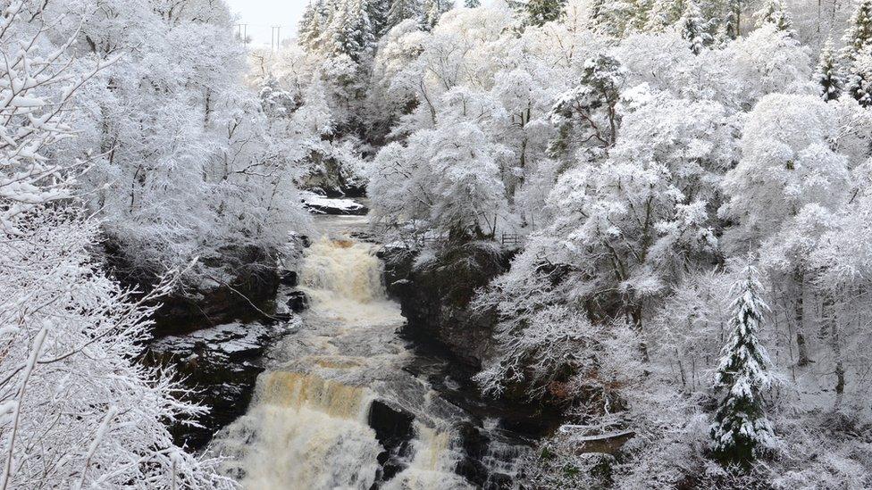 Falls of Clyde