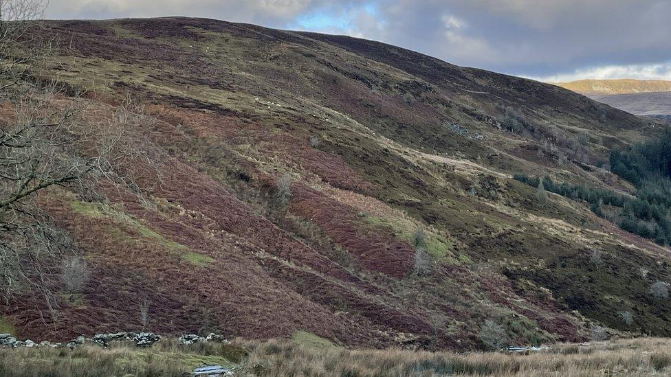 Tir mynydd y Foel