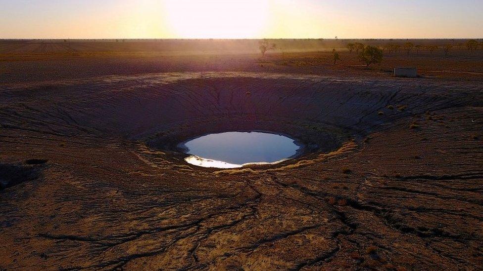 A pond on a farm in New South Wales that is almost dry