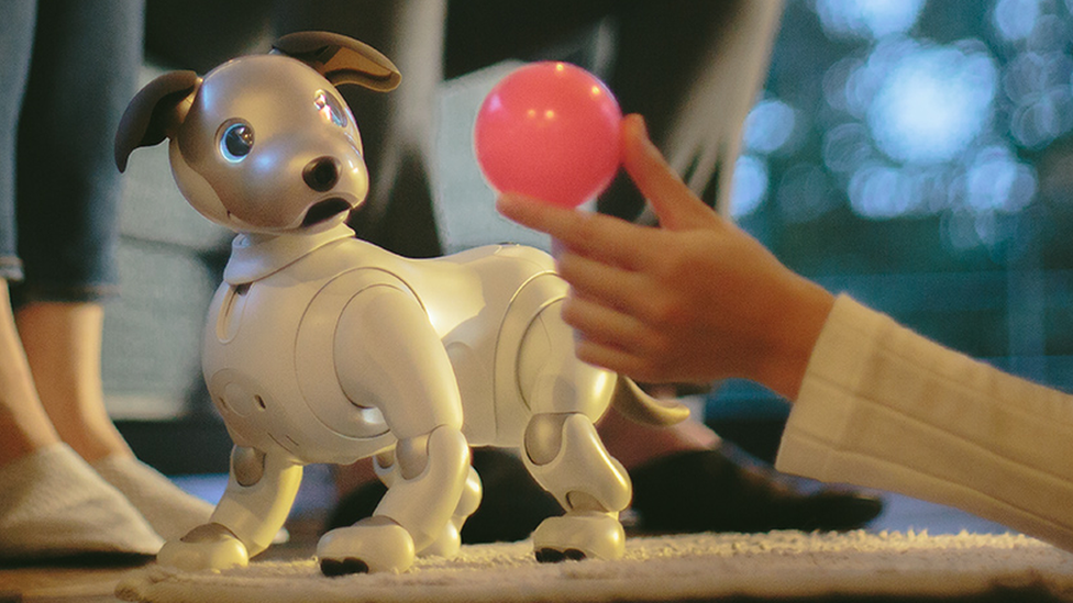 Sony revives Aibo robot dog toy BBC News