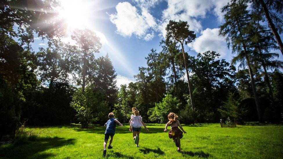 Westonbirt Arboretum, Gloucestershire