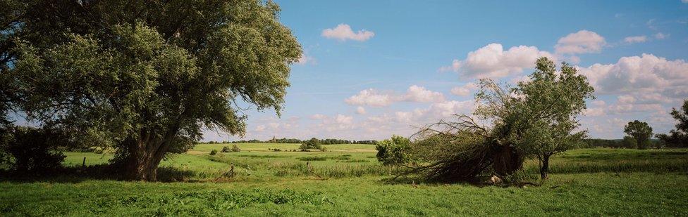 Landscape near Wittenberge, Germany, 2014
