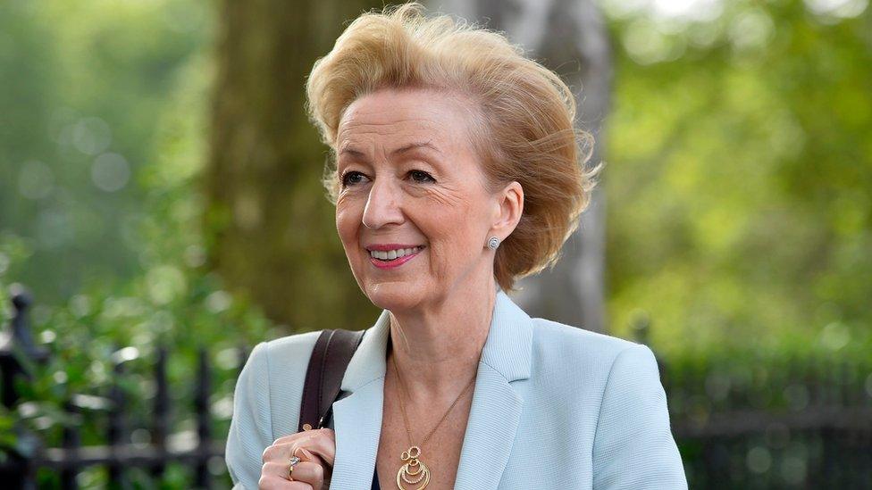 Andrea Leadsom