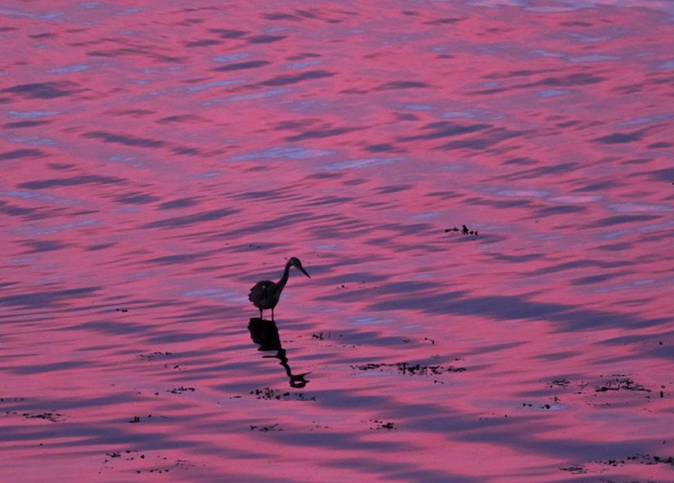 Colours of evening sky reflected in sea near Scrabster