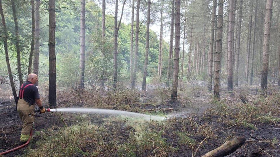 A fire fighter using a hose at Sherwood Forest