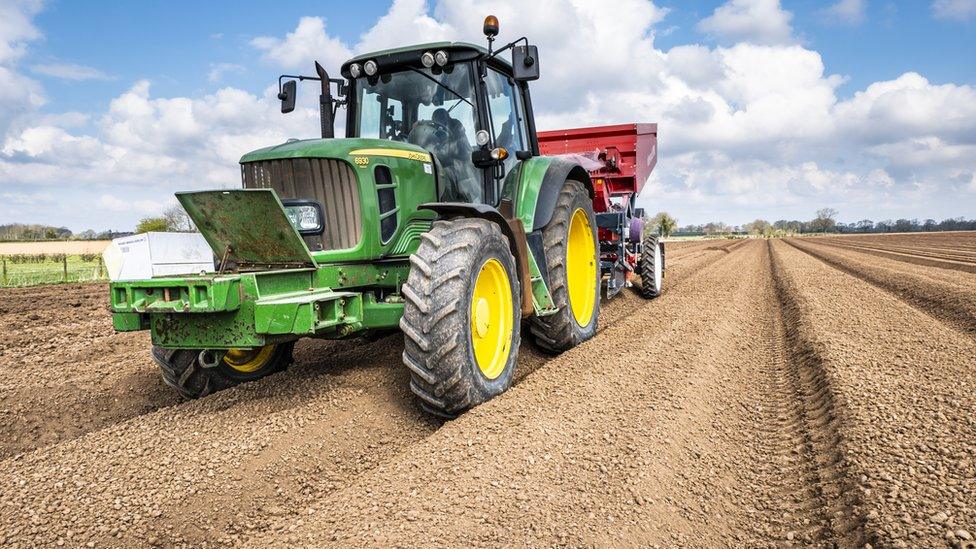 Tractor in a crop field