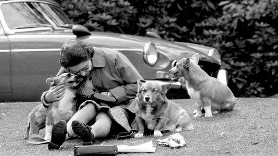 The Queen with her corgis at Virginia Water watching competitors, including Prince Philip in the marathon of the European Driving Championship, part of the Royal Windsor Horse Show, in 1973