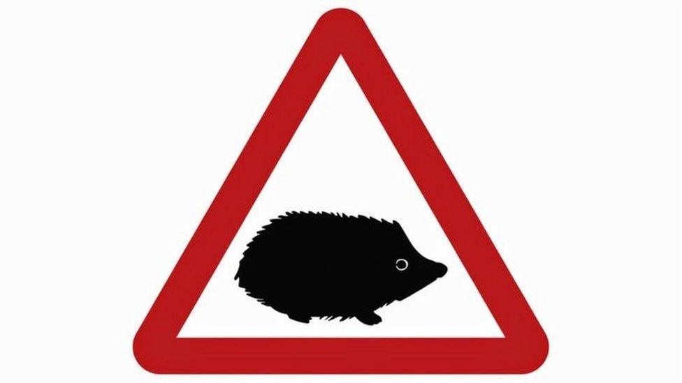 Hedgehog road sign