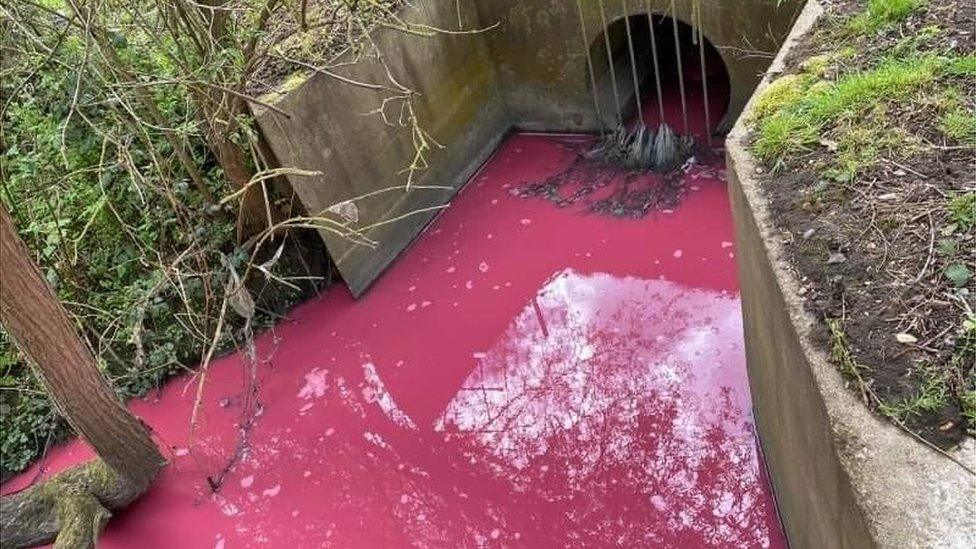 Canon's Brook at Harlow on a previous occasion when it looked pink