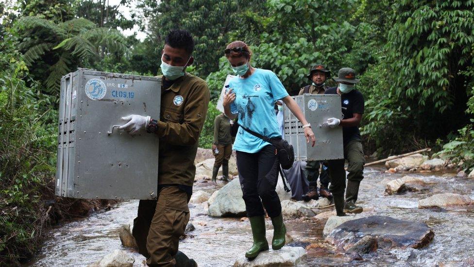 Charity workers with animals