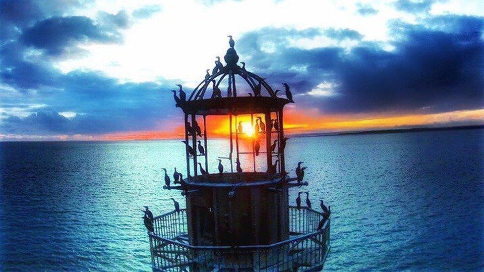 Cormorants at sunset at Whiteford Point lighthouse off the Gower peninsula