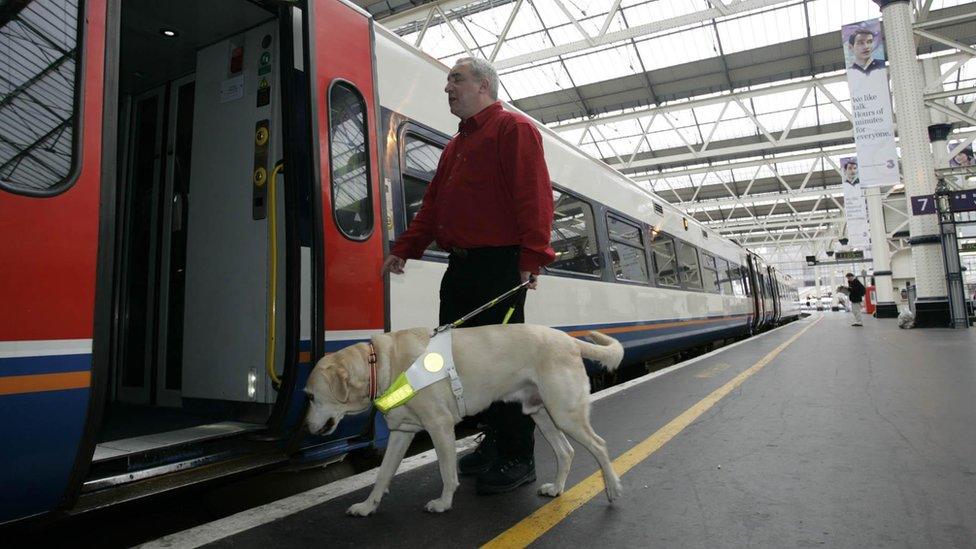 A man with a guide dog walking through train doors