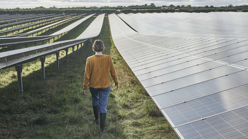 Young farmer walking through her solar farm