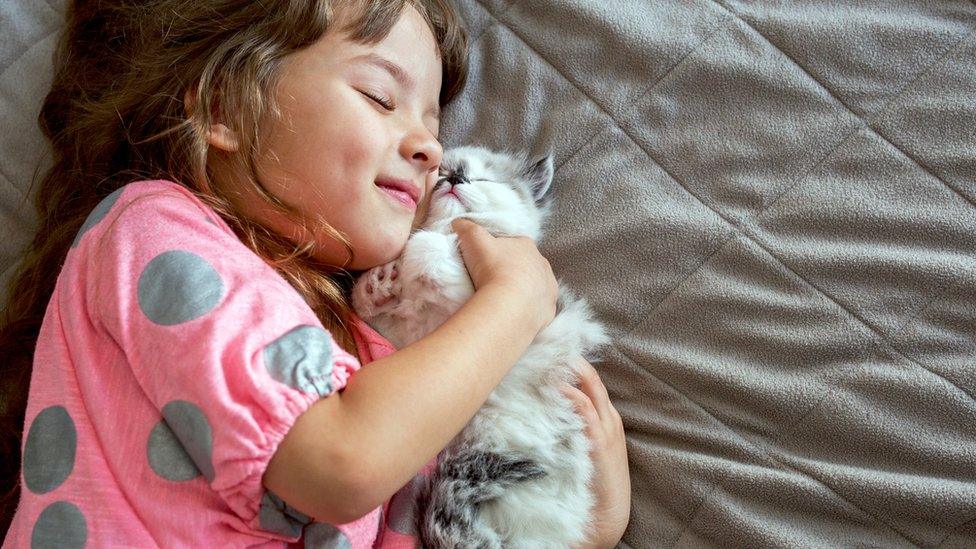 child hugging cat