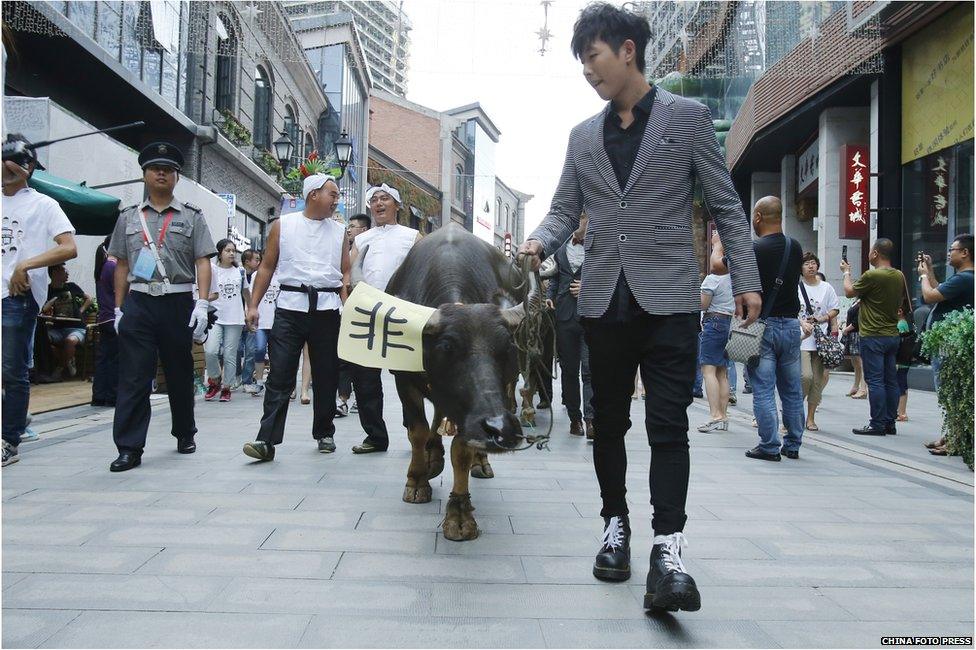 A man hauls a cow on Han Street the day before Chinese traditional Qixi Festival on 19 August 2015 in Wuhan, Hubei Province of China.