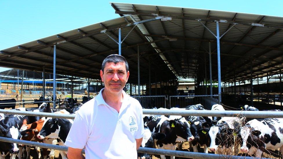 Paul Barel, an agricultural worker in Golan, with some cattle