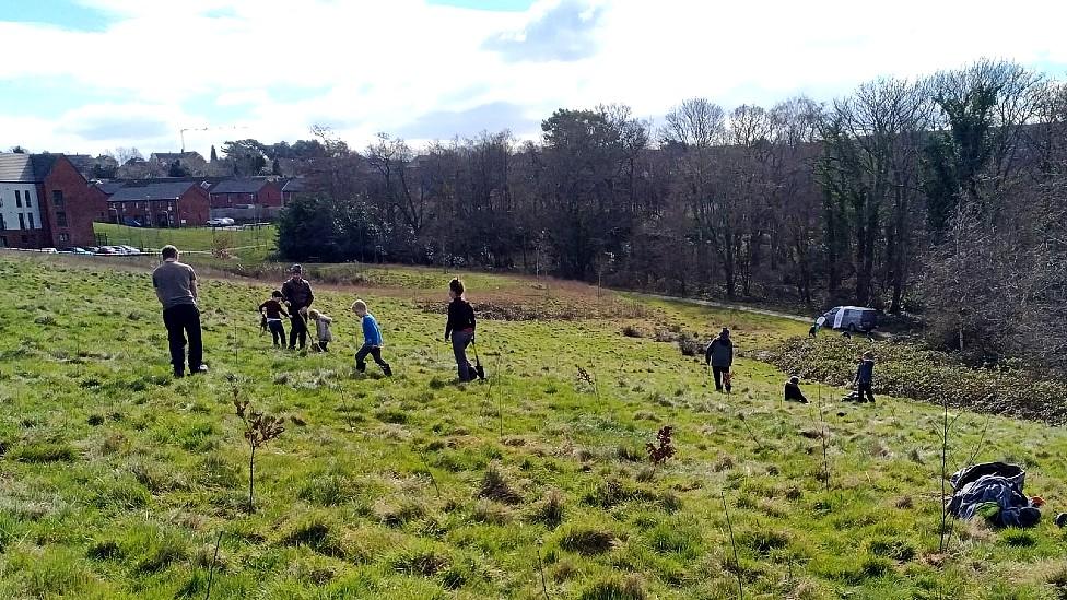 Planting trees in Llanrumney