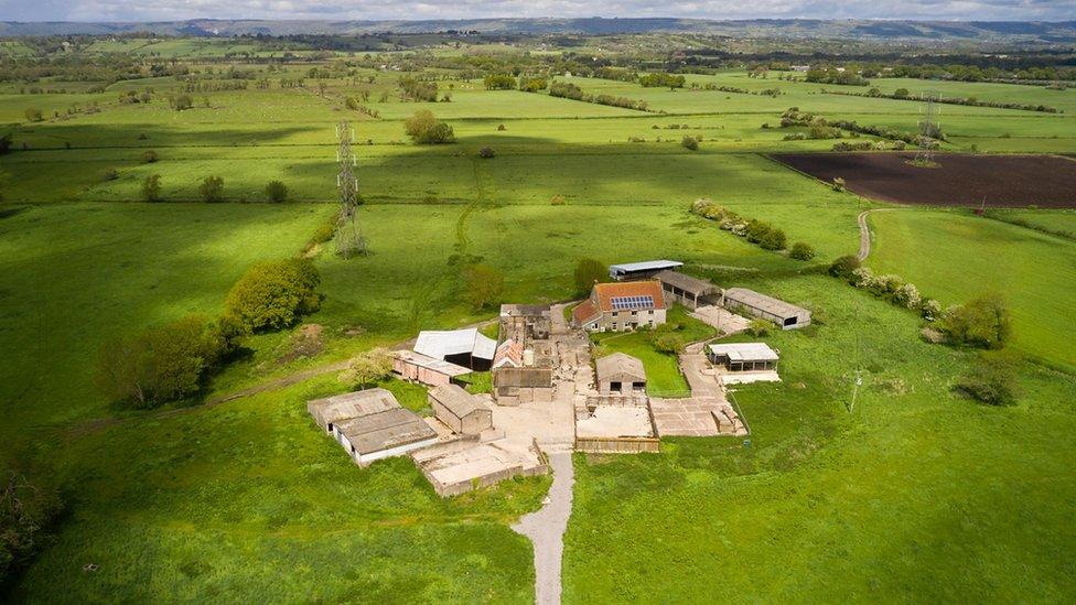 Honeygar Farm on the Somerset Levels