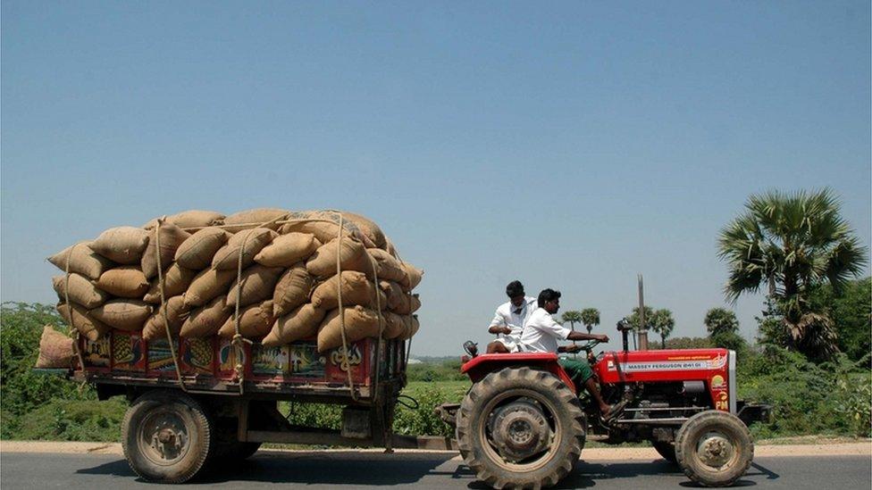 India farmer