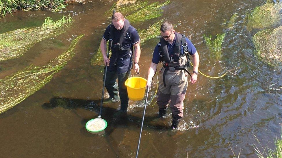 Loughs Agency staff in river